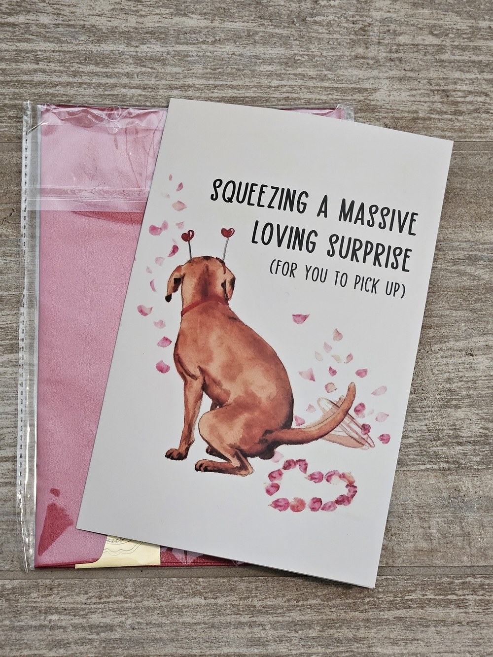 Funny Valentine's Day Greeting Card